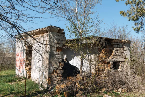 Velha Casa Arruinada Abandonada Redor Casa Cresceram Árvores — Fotografia de Stock