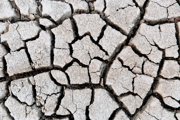 地球温暖化の概念 土地の乾燥亀裂 深刻な水不足 干ばつの概念 — ストック写真