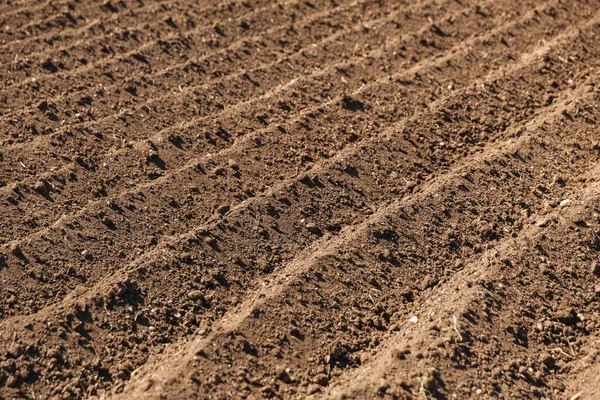 Campo Arborizado Agricultura Solo Antes Sementeira Textura Terra Fértil Paisagem — Fotografia de Stock