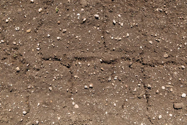 Kurumuş toprak dokusu yağmur ve kuraklık mevsimi olmadığı için çatlamış. Değişen iklim örneği.