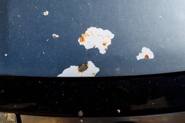 Arabanın kaputunda koruyucu metal kaplama hasarı var. Araba servisi. Aracı yıpratır. Yüzey yükseltgenmesi.