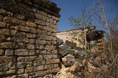 Terk edilmiş eski bir ev. Evin çatısı çöktü. Evin etrafında ağaçlar yetişti..
