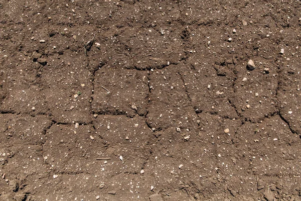 Textuur Van Gedroogde Gebarsten Aarde Vanwege Geen Regen Droogte Seizoen — Stockfoto