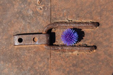  Paslı oksitlenmiş metal arka planda soyut virüs modeli. Paslı metal dokusu. Boşluğu kopyala