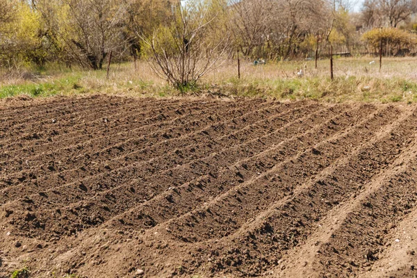 Pürüzlü tarla. Tarım, ekmeden önce toprak. Bereketli arazi dokusu, kırsal arazi manzarası.