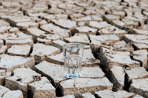 A transparent glass of clean drinking water stands in the middle of dry, cracked desert land. Global warming concept. Drought and water crisis