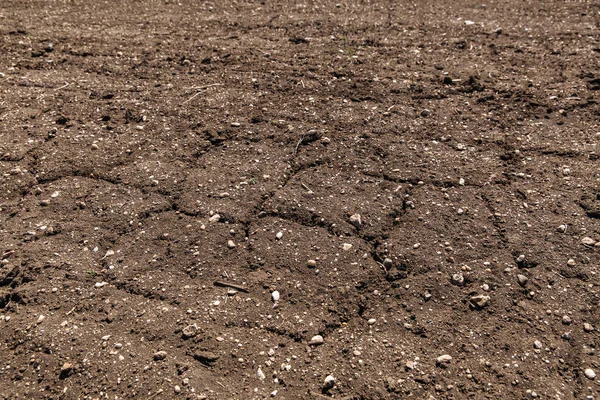 干裂的泥土气候变化的实例 — 图库照片