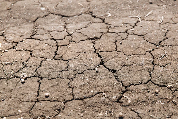 雨や干ばつの季節のために乾燥した亀裂土のテクスチャ 気候変動の例 — ストック写真