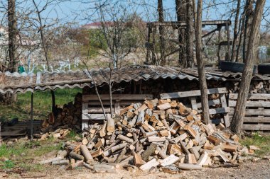 Farklı ağaç türlerinden yakacak odun kesmişler. Kış için yakacak odun hazırlığı.