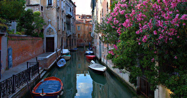 Venetian canal with boats and plants on the facade of the houses