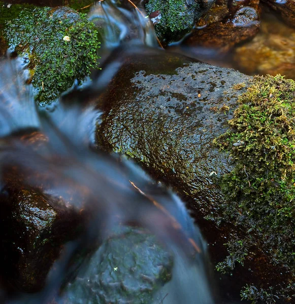 Wassersprung Einem Fluss Mit Bewegungseffekt — Stockfoto