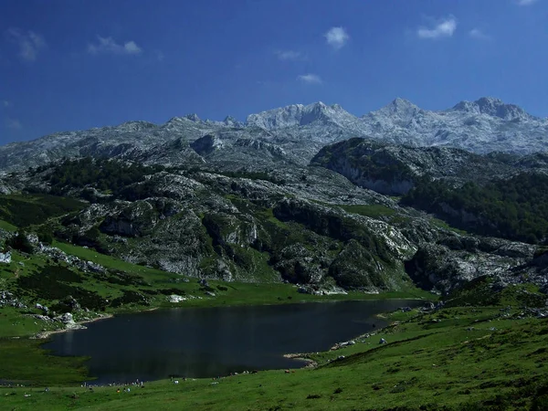 Krajina Jezera Horách Intenzivní Modrou Oblohou Enol Lake Asturias Španělsko — Stock fotografie