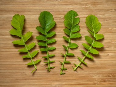 Tahta bir tahtanın üzerinde yaprak turpu yaprakları.