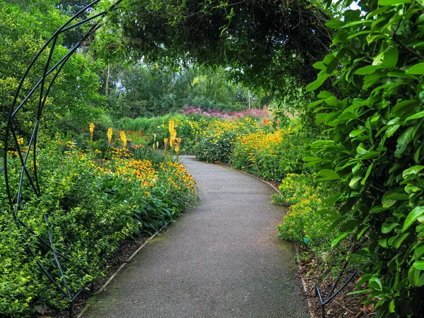 Garden path through mixed flower borders — Stock Photo, Image