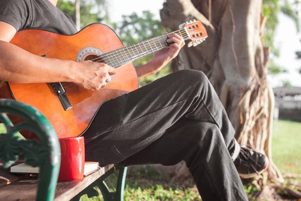 Man Playing Acoustic Guitar Outdoor Park Stock Image