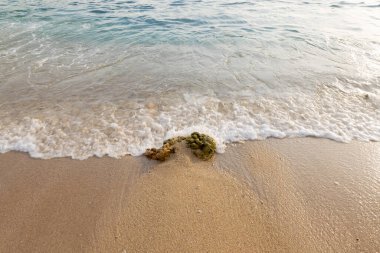 Phuket, Tayland 'da kumsalda yumuşak mavi dalgalar