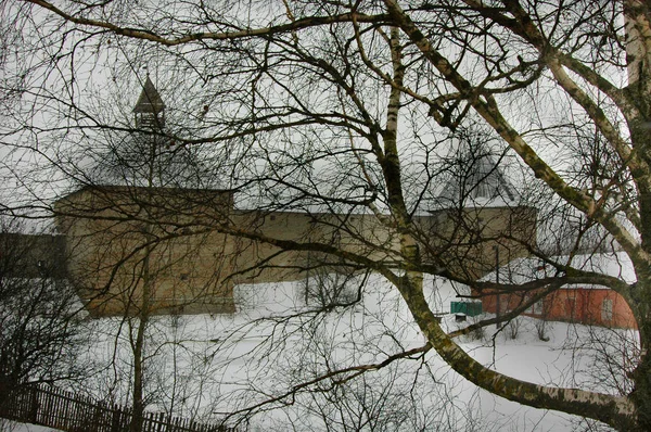 Attraverso Rami Della Betulla Visibile Alla Fortezza Russa Antica — Foto Stock