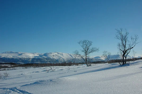 Mavi Beyaz Açık Bir Kış Gününde Kar Kaplı Dağların Manzarası — Stok fotoğraf
