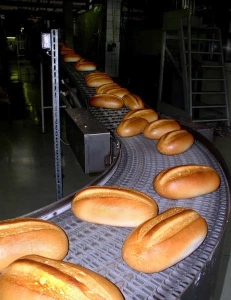 Buğday somunu üretim hattı, büyük endüstriyel fırın