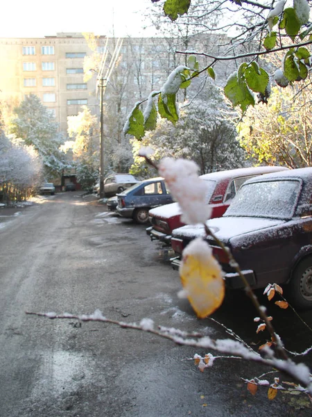 Gerçek karın yağdığı ilk sonbahar günü