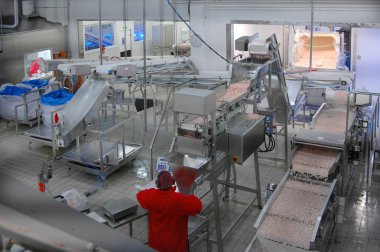 Norveç 'teki soğuk su karides işleme tesisinde bir vardiya tek bir kişi tarafından yürütülüyor.