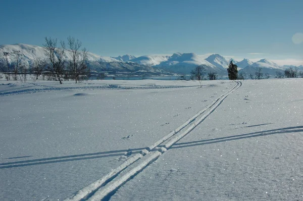 Güzel kış manzarası: don, güneş ve kar