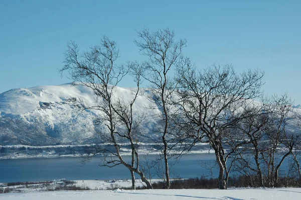 挪威北部冬季晴天 蓝白相间 — 图库照片