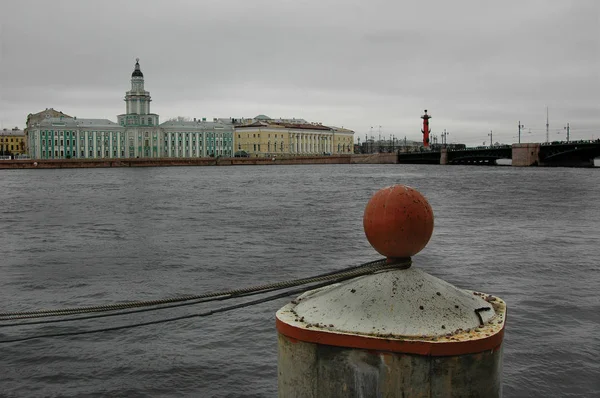 Kunstkamera Rostralské Sloupy Strelka Vasiljevský Ostrov Petrohrad — Stock fotografie