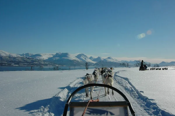 Kuzey Norveç 'in güzel manzarası açık bir kış gününde