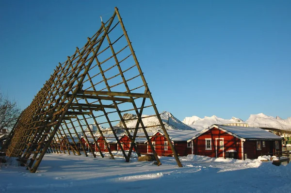 Kabeljauwdroogpalen Midden Een Vissersdorp Noorwegen Stockfoto