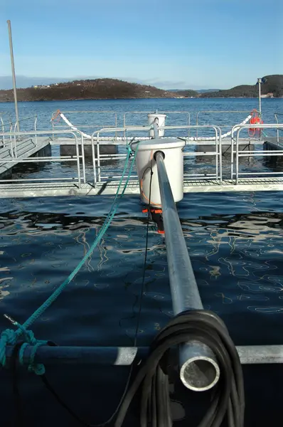 Norveç 'te, su kültüründe somon üretimi