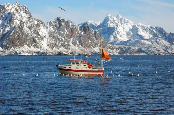 Kuşlar avlarını paylaşmak için küçük bir tekneden balıkçıları bekliyor.