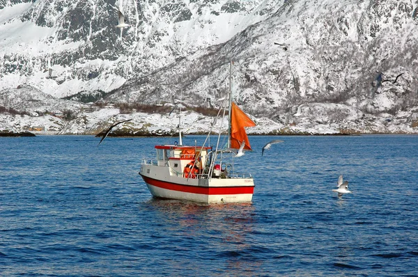 Albatrossen Omcirkelen Een Vissersboot Tegen Een Achtergrond Van Besneeuwde Rotsen Rechtenvrije Stockfoto's