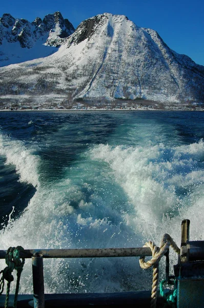 Kalkan teknenin kıç tarafından görünüm: Mavi su, köpüklü beyaz köpük ve karda dağlar, Norveç