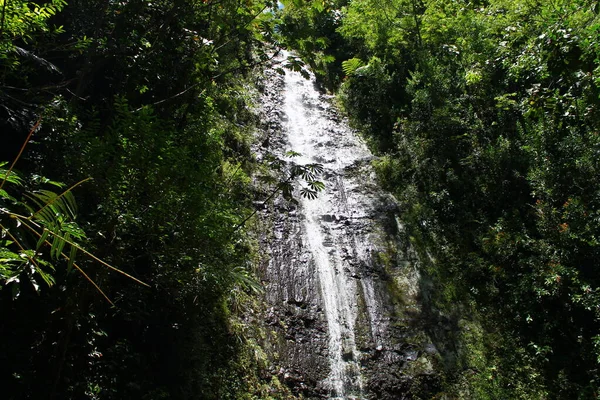 Forest waterfall in Honolulu — Stock Photo, Image