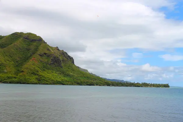 Playa del bosque perdido en las islas de Hawaii — Foto de Stock