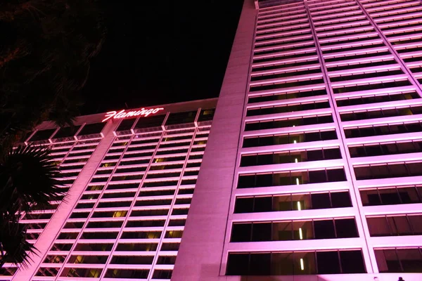 The pink lights of the Flamingo — Stock Photo, Image