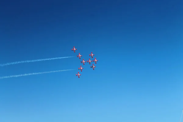 Gökte dokuz Kanada Kar Kuşu