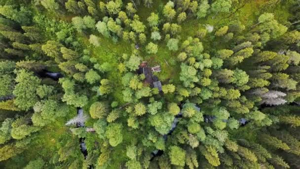 Voo sobre a floresta, log hut, vista qerial de cima para baixo na floresta no verão. Drone tiro voando sobre os topos das árvores, fundo da natureza em resolução 2.7K — Vídeo de Stock