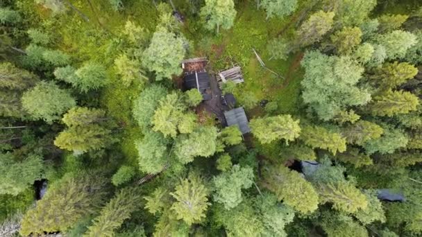 Полет над лесом, бревенчатая хижина, вид сверху вниз на лес летом. Снимок беспилотника над верхушками деревьев, фон природы в разрешении 2.7K — стоковое видео