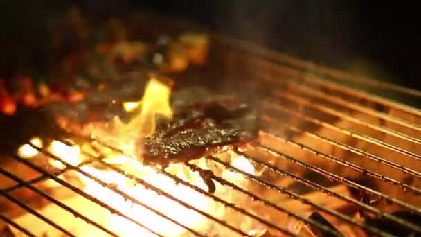 Straat Thais Eten Gegrilde Barbecue — Stockvideo