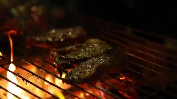 Comida Tailandesa Callejera Barbacoa Parrilla — Vídeos de Stock