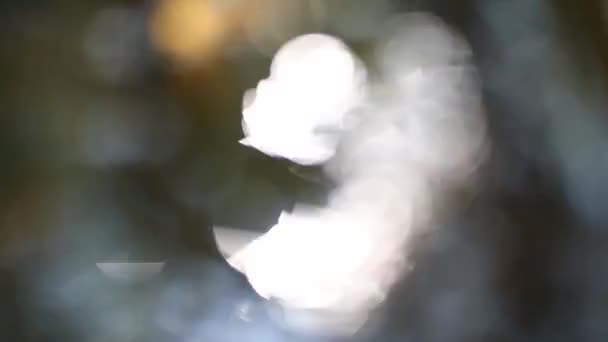 flou abstrait avec clignotement bokeh lumières arrière-plan 