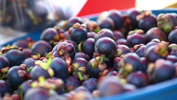 Hombre Compras Mangosteen Tailandia Comida Callejera — Vídeos de Stock