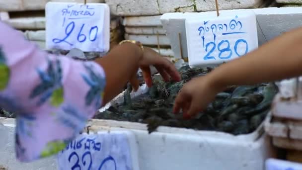 人们在市场上购买新鲜的虾 — 图库视频影像