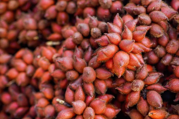 Snake Fruit — Stock Photo, Image