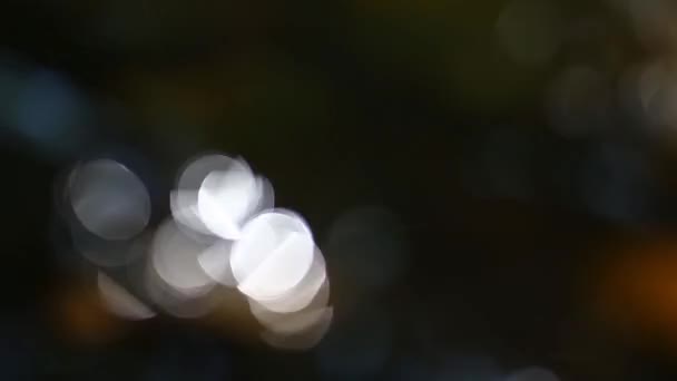 Αφηρημένο Θαμπάδα Φόντο Φώτα Bokeh — Αρχείο Βίντεο