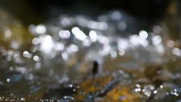 Astratto Sfocatura Con Lampeggiante Bokeh Luci Sfondo — Video Stock