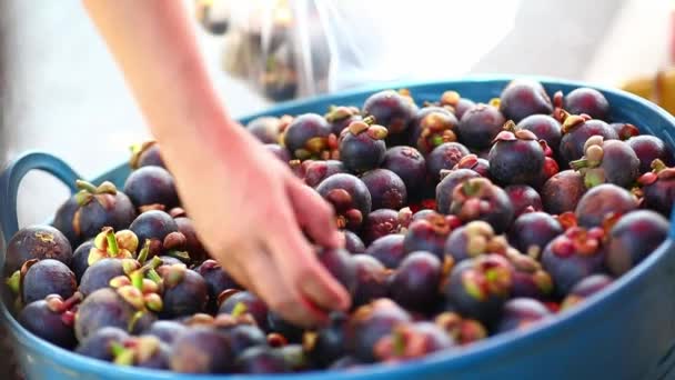 Hombre Compras Mangosteen Tailandia Comida Callejera — Vídeos de Stock