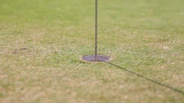 Chicas Golfistas Practicando Golf — Vídeo de stock